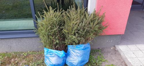 Drukarnia Interak Sp. z o.o.